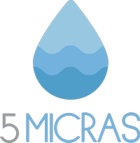 5 MICRAS